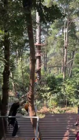 The video shows an outdoor aerial adventure course surrounded by lush greenery. A tall tree trunk features a series of platforms spiraling upwards, with several people ascending a stairway. People wearing harnesses and helmets are visible on a wooden platform in the foreground and seem to be preparing to participate in the adventure course. The environment consists of dense trees and foliage, creating a natural woodland setting. The day appears to be sunny, with dappled sunlight filtering through the trees. A woman in the foreground is talking to someone off camera.