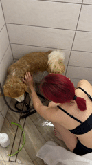 Woman gives dog bath in Chaikovsky shower