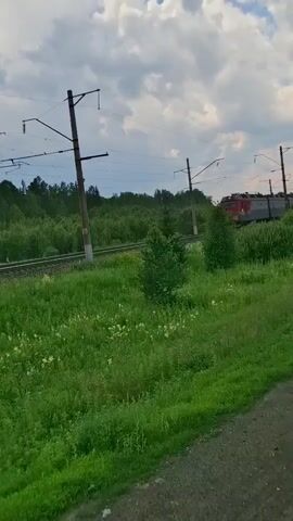 A red and gray train travels along a track, passing through a lush green landscape. The train is captured from the side as it moves from right to left in the frame. The foreground is dominated by tall green grass, with some smaller white flowers scattered throughout. In the background, a dense forest of green trees lines the horizon, under a cloudy sky. Several utility poles with overhead wires are visible along the train tracks.