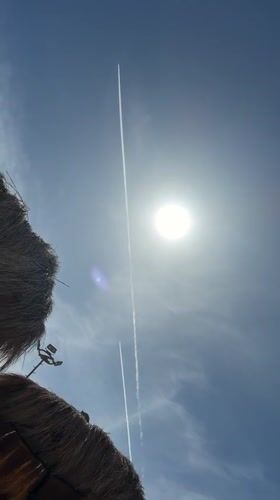 Clear skies and contrails mark beach day in Hurghada