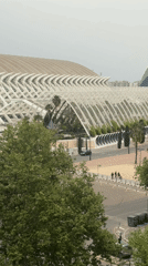 Valencia Architecture and Baking Activities Documented by Single Witness