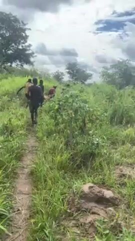 The video shows a grassy field with trees in the background under a partly cloudy sky. People are visible walking through the field. Suddenly, a loud explosion is heard.