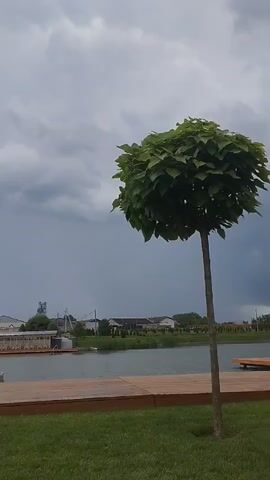 This video showcases a serene outdoor scene on a cloudy day in Romanivka, Ukraine. The primary subject is a lone, vibrantly green tree with a perfectly rounded canopy, standing tall against a backdrop of a vast, grey, and somewhat ominous sky. The tree is positioned on a neatly mowed lawn, which forms the foreground of the shot.

Beyond the lawn, a wooden deck or pier extends towards a tranquil body of water. The water reflects the muted tones of the sky, creating a sense of calm and stillness. In the distance, across the water, a cluster of buildings can be seen. These appear to be houses or small structures, nestled amongst greenery. A long, low building with a red roof and white awnings is particularly noticeable on the left side of the frame, suggesting a possible cafe or restaurant situated by the water. Further back, a taller industrial-looking structure with a smokestack is visible, hinting at the presence of industry or agriculture in the wider area.

The weather appears to be overcast, with heavy clouds dominating the sky, suggesting a possibility of rain or a recent storm. The overall mood is subdued, yet peaceful. The lack of direct sunlight and the stillness of the water contribute to a quiet, contemplative atmosphere. No people are visible in the frame, further emphasizing the solitude of the scene. The overall impression is one of natural beauty and tranquility, interrupted only by the distant hints of human habitation and industry.