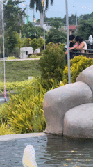 Evening park life captured in Davao City