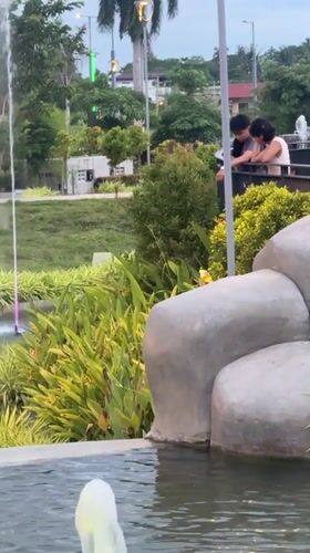 Evening park life captured in Davao City