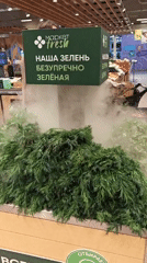Morning shopping trip documented at Yekaterinburg mall