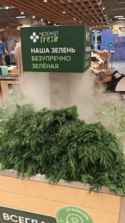 Morning shopping trip documented at Yekaterinburg mall