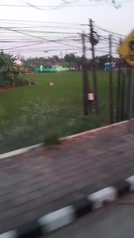 The video shows a view from a vehicle moving along a road. On the left side of the road, there is a patch of grass and a sidewalk with black and white markings. Beyond the grass, there is a field, possibly a rice paddy, with some structures and trees in the background. There are utility poles with wires. On the right side of the road, there is another utility pole with a light fixture and a poster attached to it. The poster features four portraits of men in suits. The overall scene appears to be a rural or semi-urban area with a slightly overcast sky. The video is blurry, indicating movement.