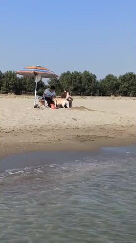 The video shows a beach scene on a sunny day. In the foreground, a body of water with small waves is visible. In the midground, a sandy beach is occupied by two people and a dog. One person is sitting on a beach chair under a colorful umbrella, holding something in their hands. Beside them, a light-colored dog, possibly a Labrador, is standing. Another person is sitting on the sand behind the dog. In the background, a line of trees borders the beach. The sky is clear and blue.