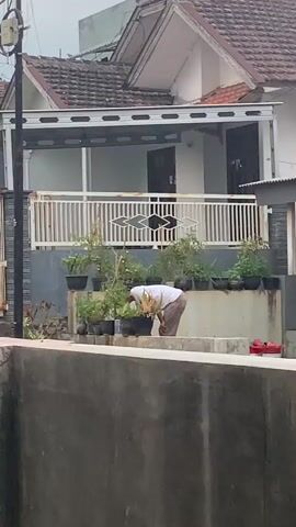 A person in a white t-shirt and brown pants is tending to plants in pots on a raised concrete area in front of a house. The house has a white exterior, a tiled roof, and a white balcony railing. The person is bent over, appearing to be watering or caring for the plants. There are multiple potted plants lined up. In the background, a red object, possibly a watering can, is visible. The foreground shows a textured grey wall or barrier. The overall lighting suggests an overcast day.