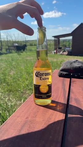 A hand is shown inserting a lime wedge into a bottle of Corona Extra beer. The bottle is standing on a wooden picnic table outdoors. In the background, there is a grassy area, a fence, a building, and a clear blue sky with clouds.