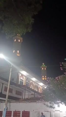 The video shows a mosque at night, with its minarets illuminated. A bright street lamp on the left casts a strong glare across the scene. Lush green trees frame the top of the image, and a bush with pink flowers is visible on the right. The mosque itself features traditional architecture with arched windows and decorative white trim. The sky is dark, indicating it is nighttime.

There is a single person visible in the lower right corner of the frame, wearing a white cap and garment, appearing to stand near the mosque. The overall mood is serene, with the illuminated mosque creating a sense of peace and spiritual presence. The location is identified as Sumberejo, Indonesia. There is no visible text in the video. The weather appears calm, with no indication of rain or wind.