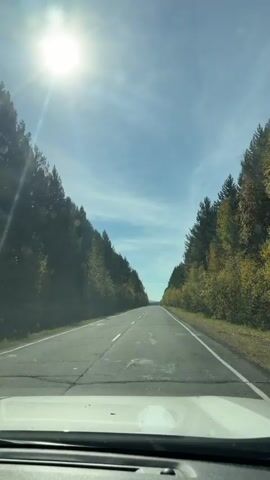 A first-person perspective video shows a car driving on a paved road through a forest. The sun is shining brightly in a clear blue sky with a few wispy clouds. The road is surrounded by trees, some of which have autumn foliage in shades of yellow and orange, while others are evergreen. The road appears to be a two-lane highway with a white line marking the center and a solid white line on the right edge. The camera is positioned from inside the car, looking forward through the windshield. The dashboard of the car is partially visible at the bottom of the frame.