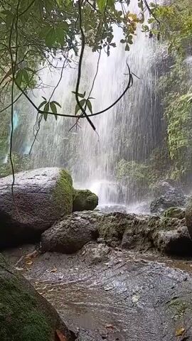 A waterfall cascades down a rocky cliff face surrounded by lush green foliage. Large moss-covered boulders are present in the foreground, with a stream flowing over the rocks. The scene is captured from a low angle, looking up towards the waterfall.