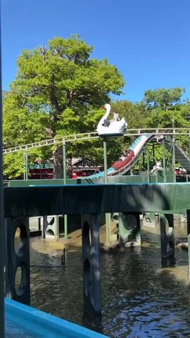 This media file captures a scene at an amusement park, likely during a warm, sunny day. The prominent subject is a white swan-shaped ride vehicle with two people visible inside, on a roller coaster track. The ride is currently descending a sloped section, creating a large splash in the water below.

The setting appears to be an outdoor amusement park, with lush green trees forming a natural backdrop against a clear blue sky. The swan ride is elevated, with a track that curves and dips, suggesting a thrill ride. Below the track is a body of water, into which the swan vehicle is creating a significant splash. There are other structures visible, including a dark green railing or platform in the foreground, which has large, circular cutouts, and supports that go down into the water. Further back, other ride structures and trees can be seen.

The activity depicted is a water ride, specifically the descent of a swan-shaped vehicle that generates a large splash. The weather appears to be pleasant, with bright sunshine and a clear sky, indicating a daytime event. The presence of people on the ride, and the dynamic splash, suggest an element of fun and excitement. The location context of Klampenborg, Denmark, might suggest this is an attraction at Tivoli Gardens or a similar Danish amusement park.

There is no visible text in the media file.