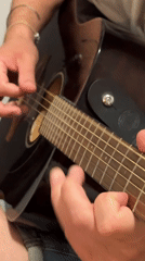 Guitar performance with dog captured in Budva, Montenegro
