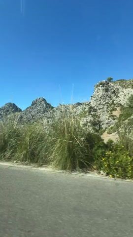 The video shows a view from a moving vehicle, likely a car, driving on a paved road. The sky is a clear, vibrant blue. On the side of the road, there is thick, tall green grass and various shrubs. Beyond the vegetation, rocky mountains rise against the sky. As the vehicle moves, the scenery changes, revealing different angles of the mountains, grass, and an isolated tree.