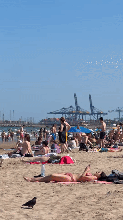 Busy sunny beach day documented across Valencia coastline