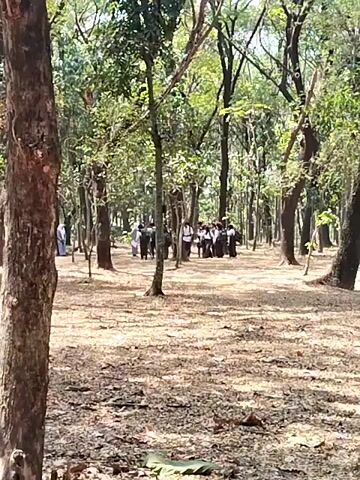 A group of people dressed in white and black are gathered in a wooded area. The ground is covered in dry leaves and fallen branches. The trees are tall and have green leaves. The lighting suggests it is daytime. There are several trees in the foreground obscuring some of the view.