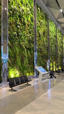 The video pans across a large indoor space, likely an airport or a public building, featuring a striking living wall of lush green plants. The living wall stretches across a significant portion of the frame, displaying various shades of green from mosses and ferns. Several tall, reflective metallic columns punctuate the living wall, adding a modern contrast to the natural elements. In the foreground, rows of black seating benches are arranged, some of which are empty while others are occupied by individuals. To the right of the benches, a sleek, modern touch-screen information kiosk stands, its screen displaying text and graphics. The floor is polished and reflective, mirroring the ambient lighting from above and the green hues of the living wall. The overall environment appears clean, spacious, and contemporary, with subtle lighting highlighting the green wall and creating a serene atmosphere.