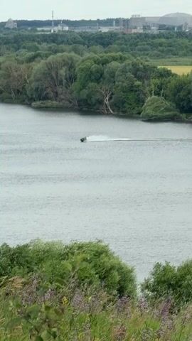 A jet ski with at least one rider is moving across a wide body of water. The jet ski is leaving a white spray trail behind it. The water is calm and appears to be a river or lake. The background shows a dense line of green trees along the bank, with some industrial structures and buildings visible in the distance. In the foreground, there is lush green foliage and some purple wildflowers. The sky is overcast.