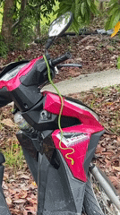 Green snake found coiled on pink scooter in Thailand