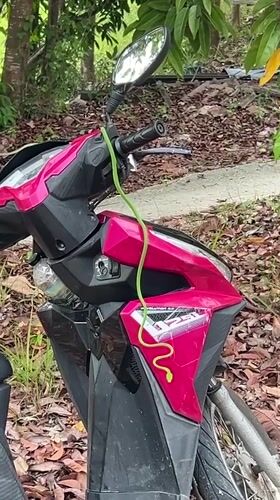 Green snake found coiled on pink scooter in Thailand