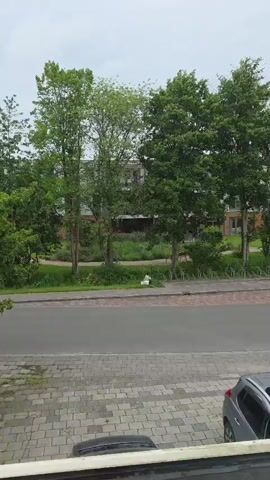 The video shows a street view from a window. In the foreground, there is a paved area and a car parked on the right side. The street runs horizontally across the middle of the frame, with a gray asphalt surface. Beyond the street, there is a strip of grass with some plants and trees. In the background, a multi-story building with a dark facade and windows is visible behind the trees. The sky is overcast and the lighting suggests it is daytime. There is a white object, possibly a statue or a small structure, in the grass area.