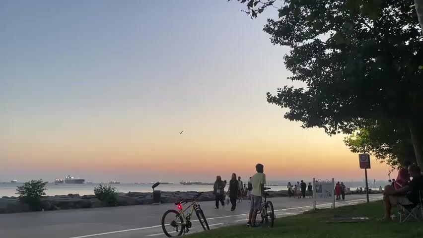 This video shows a sunset scene at a coastal park. In the foreground, there is a paved path next to a grassy area. Two bicycles are parked on the path. Several people are walking and standing along the path, enjoying the view. In the background, the sea is visible with several ships in the distance. The sky is a gradient of colors, transitioning from light blue at the top to orange and pink near the horizon, indicating sunset. A large tree with dense foliage is on the right side of the frame, casting shadows. There are a few signs on posts along the path, and some people are sitting on chairs in the grassy area. A bird is flying in the sky. The overall atmosphere appears peaceful and relaxed.