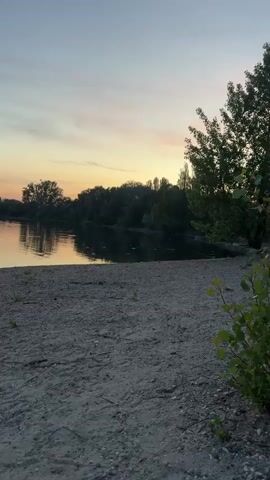 This video showcases a tranquil natural scene at dusk by a body of water, likely the Rhine River, near Speyer, Germany. The foreground is a sandy beach scattered with small stones and a few sprigs of green vegetation. The beach slopes gently towards the water.

The main subject is the calm river, reflecting the soft hues of the sunset. Across the river, a dense line of trees forms the background, silhouetted against the sky. The sky itself is a canvas of pastel colors, with streaks of pale pink, orange, and blue, indicating the end of the day. The overall atmosphere is peaceful and serene, evoking a sense of calm and quiet reflection.

There are no people or distinct objects visible in the frame. The activity, or lack thereof, suggests a moment of stillness and natural beauty. The time of day is clearly sunset or twilight. The weather appears to be clear and mild, conducive to enjoying the outdoors. The location context of Speyer, Germany, provides a geographical anchor, though no specific landmarks are identifiable in the frame. No text is visible in the media file.