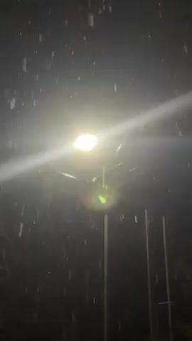 The video shows a night scene with heavy snow falling. A bright streetlight illuminates the falling snow, creating a halo effect. The light shines down on several thin poles and some trees in the background. The scene is dark, except for the bright area around the light.