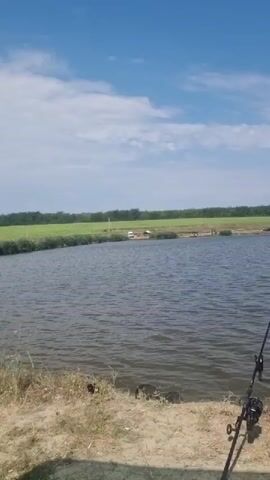 The video pans across a lake on a clear day. Three fishing rods are set up on a sandy bank, facing the water. The lake is calm with gentle ripples on the surface. In the background, there is a green field with some trees and buildings visible. The sky is blue with a few white clouds. The camera moves from the fishing rods to the right, showing more of the lake and the reeds along the bank.