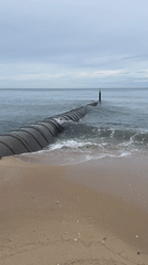 Early morning beach activity recorded in Vietnam coastal ward