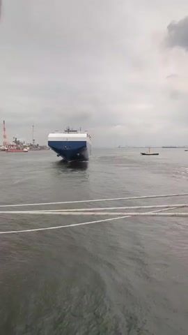 A car carrier ship is turning in calm water under an overcast sky. The ship is blue and white and appears to be moving forward. It is observed from another vessel, with ropes in the foreground. In the background, there is a port with industrial structures and a yellow buoy. The water is calm with some ripples from the ship's movement.