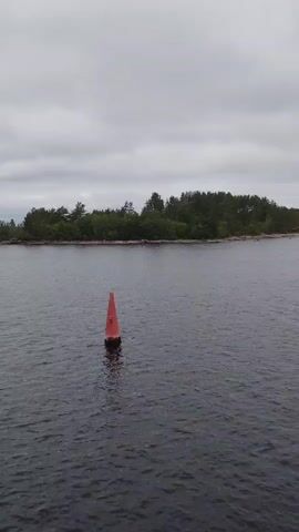 A stationary, medium shot captures a buoy in the water. The buoy is orange and conical in shape, with a white tip. The water is dark and choppy. In the background, a tree-covered island is visible, and the sky is overcast. The scene is calm and still.