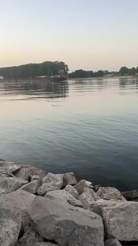 A barge is moving across a wide river. The barge is dark colored with red trim along the top and a white cabin at the back. It is being propelled by a tugboat. The river is calm with small ripples. On the left side of the river, there is a green buoy. The background is lined with trees and the sky is a pale gray. In the foreground, there are rocks.