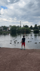 Feeding ducks and pigeons at a Saint Petersburg lakeside park