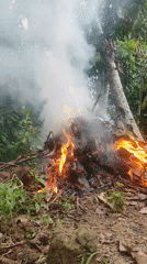 Small debris fire burns in Indonesian forest clearing