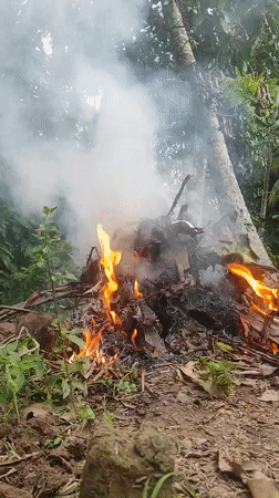 Small debris fire burns in Indonesian forest clearing