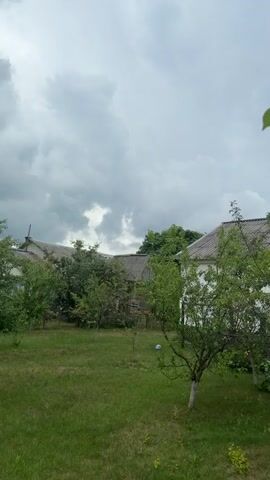 The video opens with a view of a cloudy sky over a yard with trees and a house. The camera then pans to the right, focusing on a boy lying on a trampoline. He is wearing a blue t-shirt and gray pants and smiles at the camera. The trampoline is blue and black. The background shows more trees and the house. The video ends with the boy still on the trampoline.