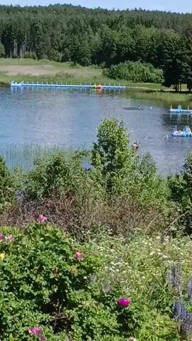 A wide shot shows a lake with people swimming and a floating platform. In the foreground, there are several bushes with pink and white flowers. The background is a dense forest. The sky is blue and clear. The video pans slightly across the lake.