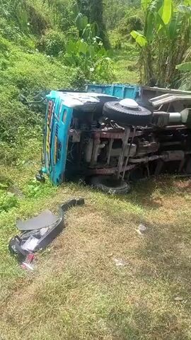A light blue truck lies on its side in a grassy, rural area with vegetation and trees. The truck appears damaged, with a piece of its bodywork lying on the ground in front of it. The scene is illuminated by daylight.