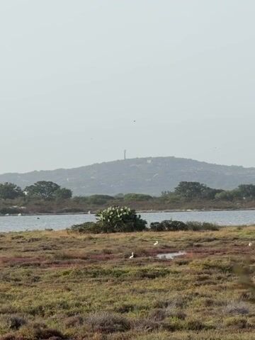 A wide shot of a salt marsh shows a body of water in the middle ground with green vegetation and some dry reeds in the foreground. There are a few white birds in the marsh. In the background is a hill with a structure on top. The sky is a hazy light gray.