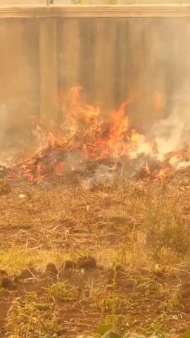 A pile of dry brush and branches burns in a field, producing flames and smoke. The field has a light brown color with scattered patches of green grass. In the background, a gray wall is visible. The scene is brightly lit, with the color of the fire ranging from yellow to orange.