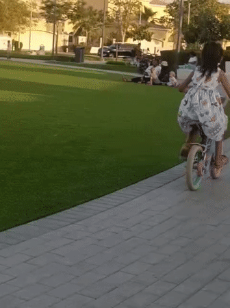 Afternoon recreation scenes captured across Dubai parks and public spaces
