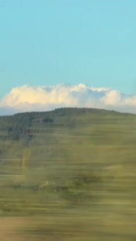 The video shows a landscape with a clear blue sky and a line of clouds above a dense green forest-covered hill. In the foreground, there are trees and a field of dry grass. Several houses with red roofs are visible nestled among the trees. The camera appears to be moving, as evidenced by the slight shift in perspective throughout the short clip.