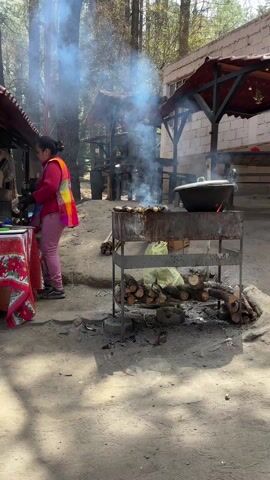 The video captures a woman standing next to a makeshift outdoor kitchen setup with smoke billowing in the air, likely from grilling or cooking. The woman is wearing a colorful vest, pink pants, and gloves and appears to be tending to the food. The cooking setup is a metal rack holding burning wood, a grill with items cooking on it, and a large pot with a lid on top. Behind the woman, there is a table with a floral tablecloth and a small structure. In the background, there are trees, picnic tables under small shelters, and a building with a white brick wall. The setting appears to be a rural or park-like area, possibly a restaurant or picnic spot.