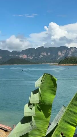 The video shows a wide shot of a calm turquoise lake with a boat in the distance. The background features a chain of misty, jungle-covered mountains under a blue sky with fluffy white clouds. In the foreground, large green banana leaves partially obscure the view, creating a natural frame. The water appears still, and the overall impression is one of a serene, natural landscape.