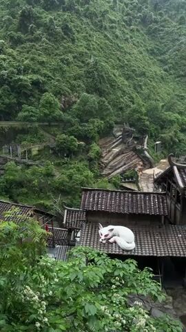 The video shows a scenic view of a village nestled in a mountainous region. The scene is dominated by lush green vegetation covering the mountainsides. In the foreground, there are traditional-style buildings with tiled roofs. On top of two of these roofs, there are decorative statues of white foxes, one with red eyes. The camera pans to reveal a larger building complex with green seating, possibly an open-air theater or auditorium. The environment appears misty or rainy, adding to the atmospheric quality of the landscape. There are no visible people, but the presence of buildings and structures indicate human habitation.