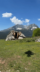 Man dances in rural Montenegro field amid mountain scenery